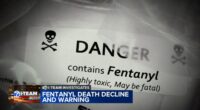 Cook County, Illinois sees decrease in fentanyl drug overdose deaths; advocates warn against false sense of security
