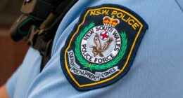 Cop jailed over $100,000 robbery from sex offender's home