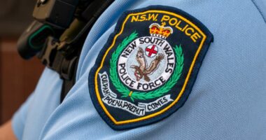 Cop jailed over $100,000 robbery from sex offender's home