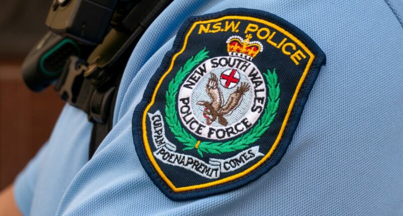 Cop jailed over $100,000 robbery from sex offender's home