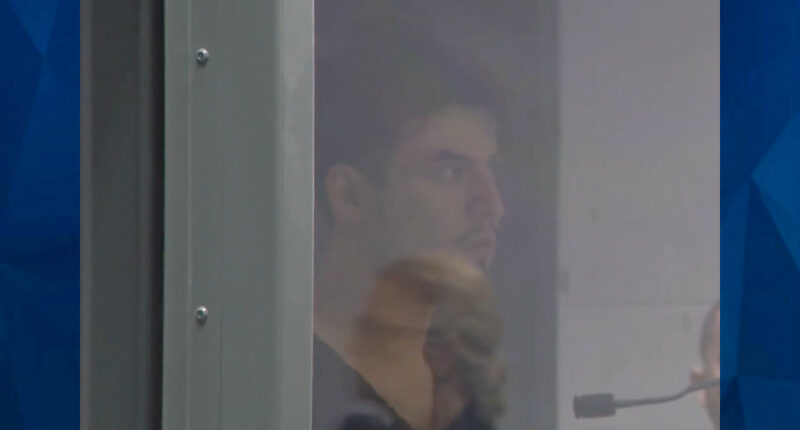 Cops: Driver Intentionally Caused 12-Car Pileup at Vegas Traffic Light, Killing 2, Including Pregnant Girlfriend