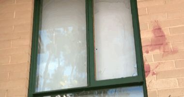 Cops called to single housing trust complex up to seven times a day