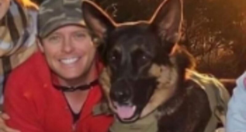 Cops investigate wild brothel claim in Arnie the German shepherd case