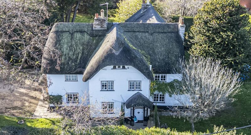 Cottage that inspired Goldilocks under threat amid plan for solar farm