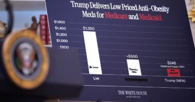 Counterfeit Innovation Puts Lives—and Markets—at Risk