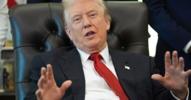 Court rules Trump administration violated First Amendment with out-of-office messages