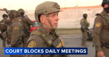 Court says Greg Bovino, Border Patrol commander, won't have to brief Judge Sara Ellison Chicago immigration operations