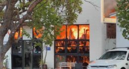 The blaze broke out less than an hour ago in Brookvale and is still burning out of control.