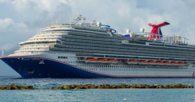 Criminal charges may be filed after Florida teen found dead on cruise ship, court filing suggests