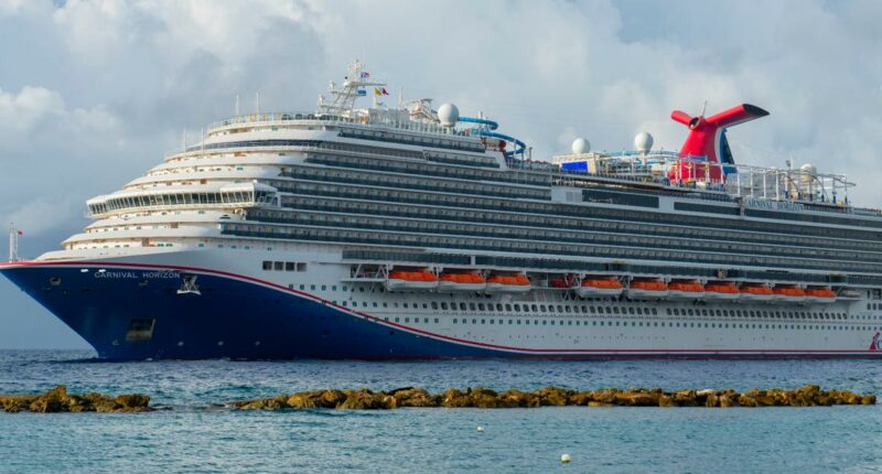 Criminal charges may be filed after Florida teen found dead on cruise ship, court filing suggests