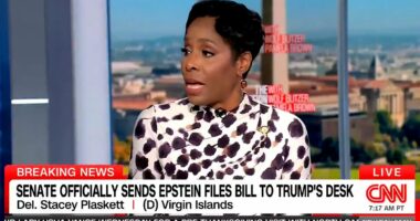 Crockett's explanation for false claim linking Republican to Epstein