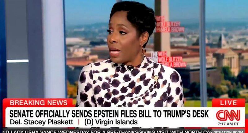 Crockett's explanation for false claim linking Republican to Epstein