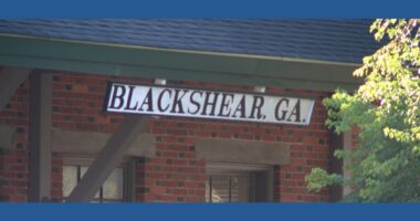 'Cusp of revival': Blackshear city officials push for downtown business boom with new organization