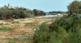 Cyclists survives 130-foot fall