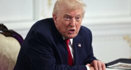 DC National Guard shooter's family may be deported, Trump says