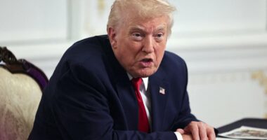 DC National Guard shooter's family may be deported, Trump says