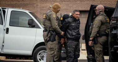 DHS: Chicago crime drops sharply after federal operation targeting criminal illegal immigrants