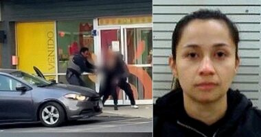 DHS fires back after viral video sparks claims about ICE daycare raid in blue city