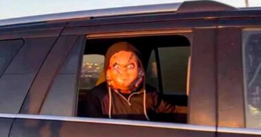 DHS' reply after ICE agents seen wearing Halloween masks