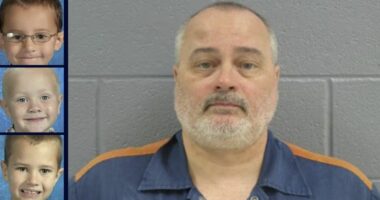 Dad whose 3 sons went missing will walk free after sentence