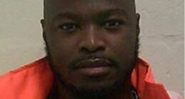 David Lammy accused of 'hiding an even bigger scandal' over prisons