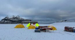 Deadly bird flu strain reaches Australian territory for the first time