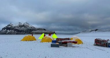 Deadly bird flu strain reaches Australian territory for the first time