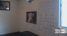 Decatur restaurant, community paying it forward: free meals for those in need