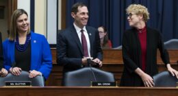 Defiant Dems receive 24/7 protection after Trump threats