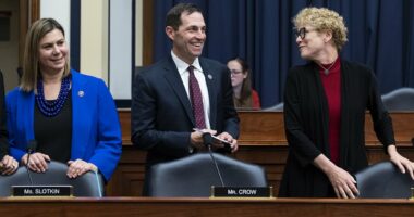 Defiant Dems receive 24/7 protection after Trump threats