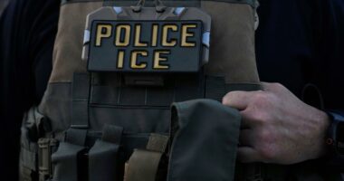 Dem leaders' outrageous rhetoric continues to stoke anti-ICE violence