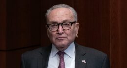 Democrat Party in turmoil as group of liberals target Schumer