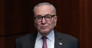 Democrat Party in turmoil as group of liberals target Schumer