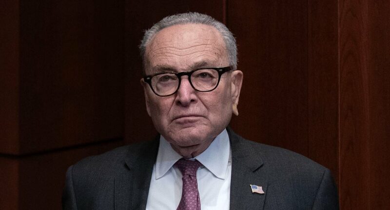 Democrat Party in turmoil as group of liberals target Schumer