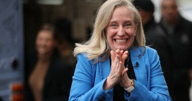 Democrat Spanberger storms to victory in Virginia in anti-Trump wave