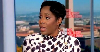 Democrat squirms as she's grilled by CNN about texts to Epstein