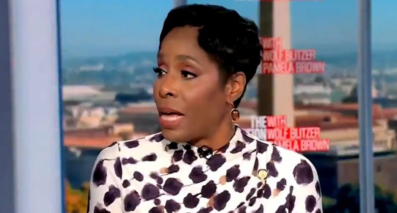 Democrat squirms as she's grilled by CNN about texts to Epstein