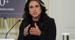 Democrats allege spy agency work is being undermined and politicized under Trump