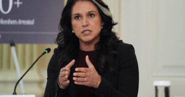 Democrats allege spy agency work is being undermined and politicized under Trump