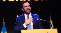 Democrats fear New York's socialist mayor will play into Trump's hands