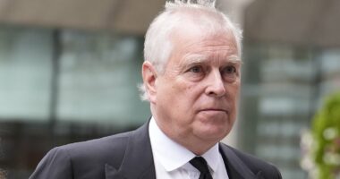 Democrats summon former Prince Andrew for royal Epstein grilling as victims pile on