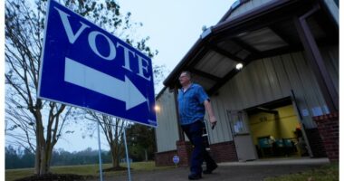 Democrats win key Georgia special elections seen as midterm bellwethers