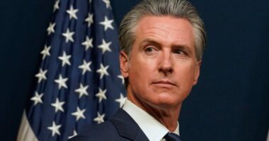 Dems' wins sets stage for Newsom vs. AOC in 2028: Stirewalt
