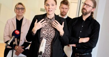 Denmark’s government aims to ban access to social media for children under 15