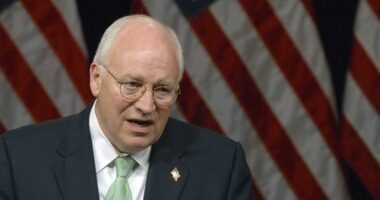 Dick Cheney, polarising US VP behind 'war on terror', dies at 84