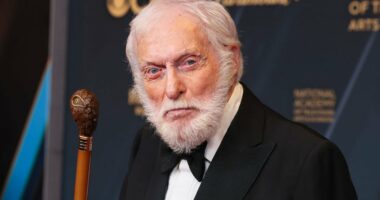 Dick Van Dyke admits he 'probably neglected' his kids at times