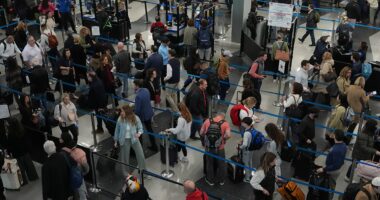 Dire warning for Americans traveling for Thanksgiving amid shutdown