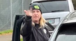 Disgraceful lies of 'everyday' mom who chased down ICE agents