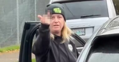 Disgraceful lies of 'everyday' mom who chased down ICE agents