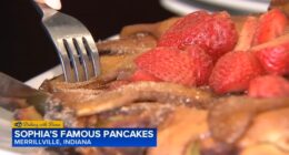 Dishing With Diane: Sophia's Famous Pancakes off of I-65 in Merrillville, Indiana